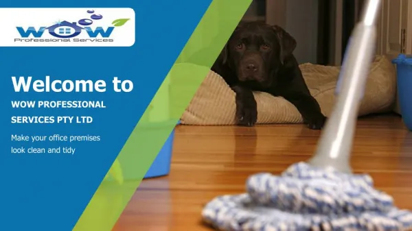 Carpet Cleaners in Canberra | Wow Professional Services Pty Ltd
