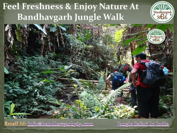 Feel Freshness & Enjoy Nature At Bandhavgarh Jungle Walk