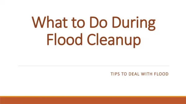 What to Do During Flood Cleanup