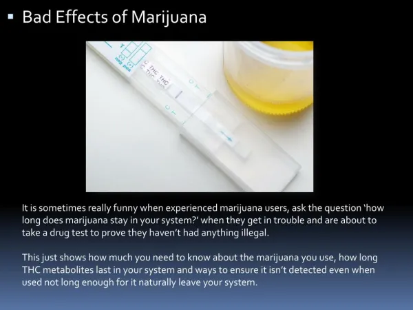 bad effects of marijuana