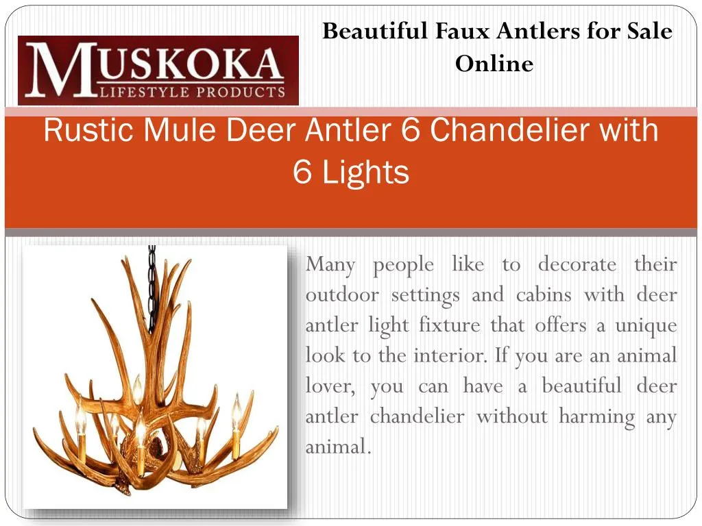 rustic mule deer antler 6 chandelier with 6 lights