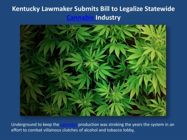 Kentucky Lawmaker Submits Bill to Legalize Statewide Cannabis.