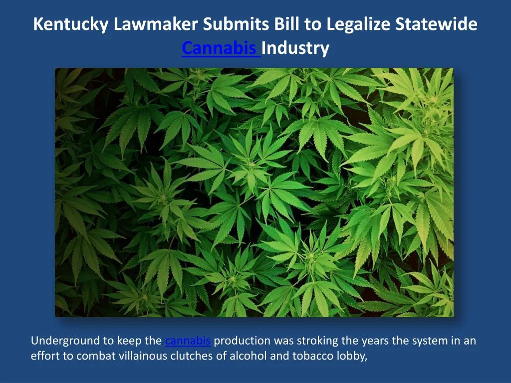 kentucky lawmaker submits bill to legalize statewide cannabis industry