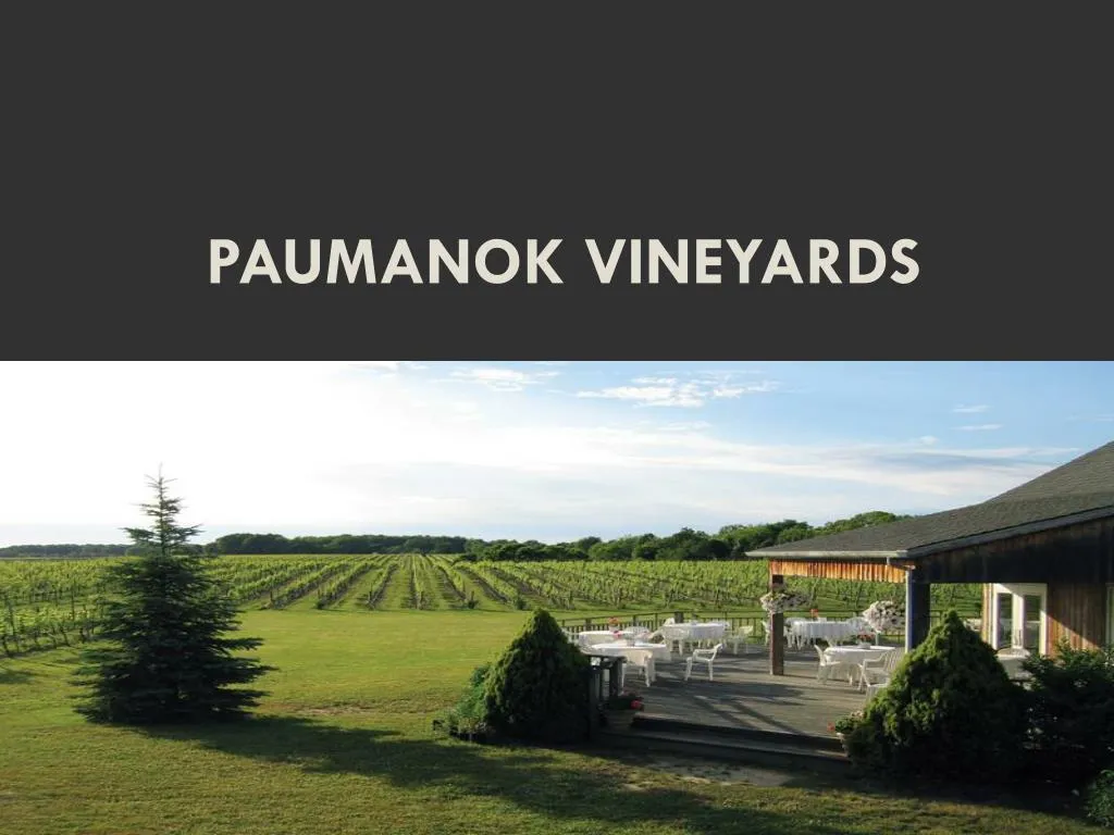 paumanok vineyards