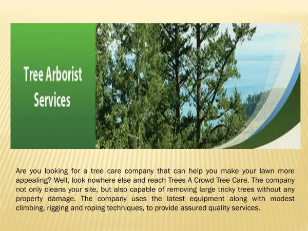 perth arborist services