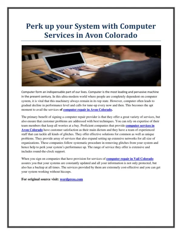 Perk up your System with Computer Services in Avon Colorado