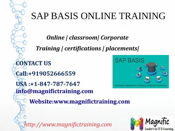 SAP BASIS ONLINE TRAINING IN GERMANY,THAILAND