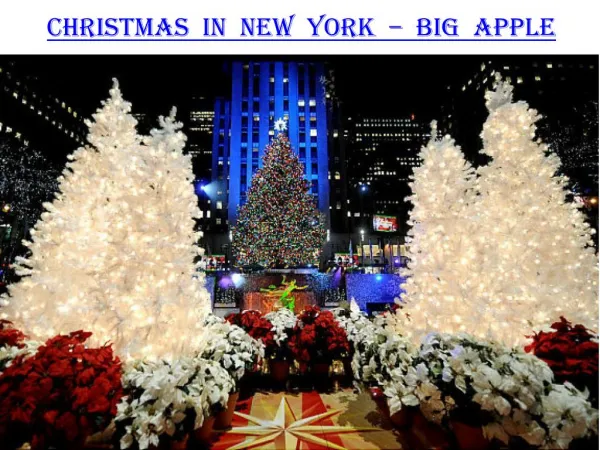 Christmas in New York - Big Apple