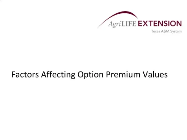 Factors Affecting Option Premium Values