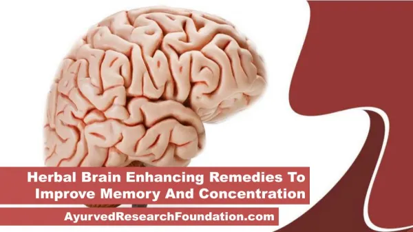 Herbal Brain Enhancing Remedies To Improve Memory And Concentration