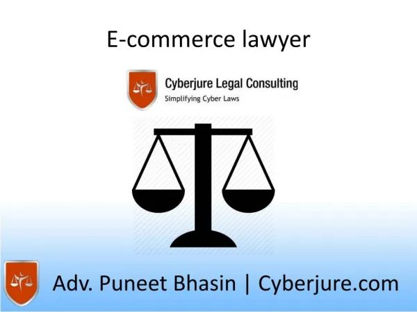 e-commerce lawyer