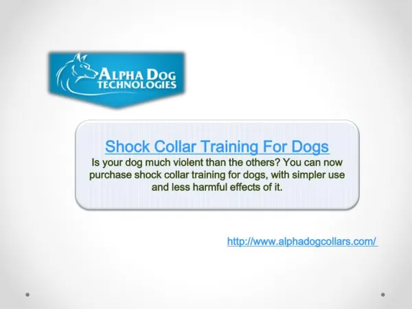 Shock Collar Training For Dogs