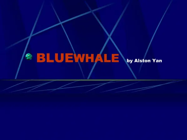 BLUE WHALE by Alston Yan