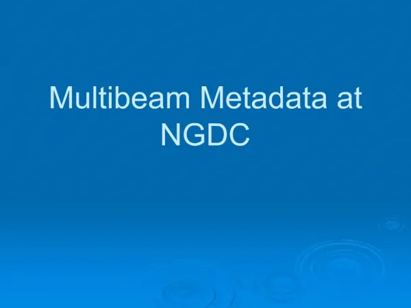Multibeam Metadata at NGDC