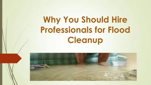Why You Should Hire Professionals for Flood Cleanup