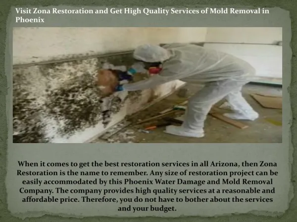 Mold Removal in Phoenix