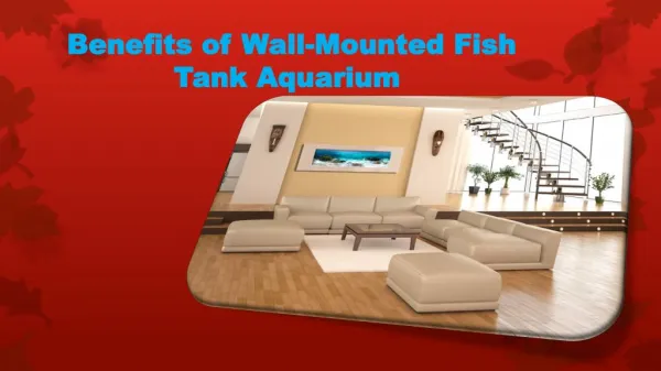 Benefits of Wall-Mounted Fish Tank Aquarium 