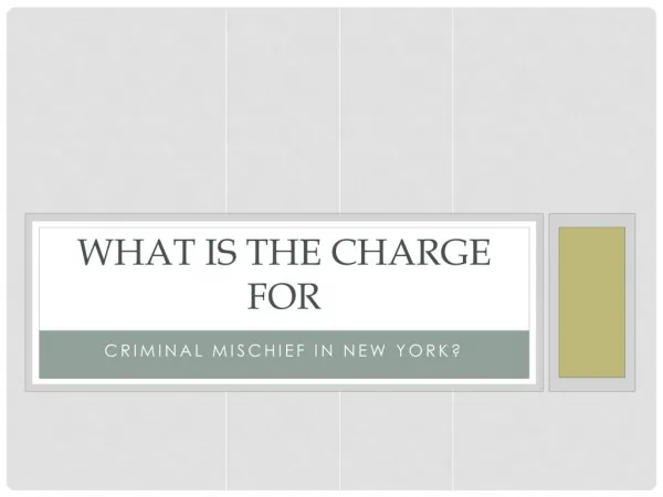 What Penalties Can You Expect For Criminal Mischief In NY
