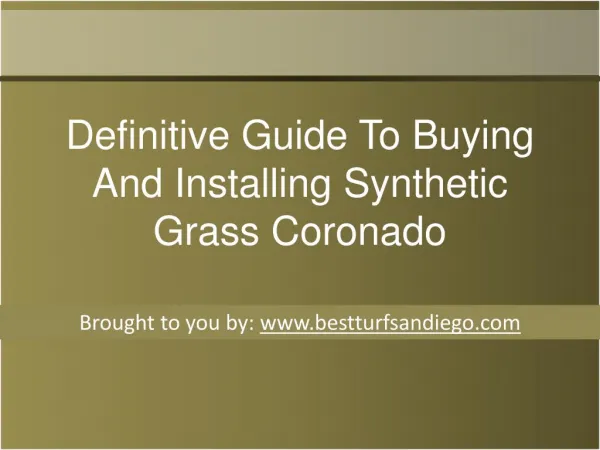 Definitive Guide To Buying And Installing Synthetic Grass Coronado