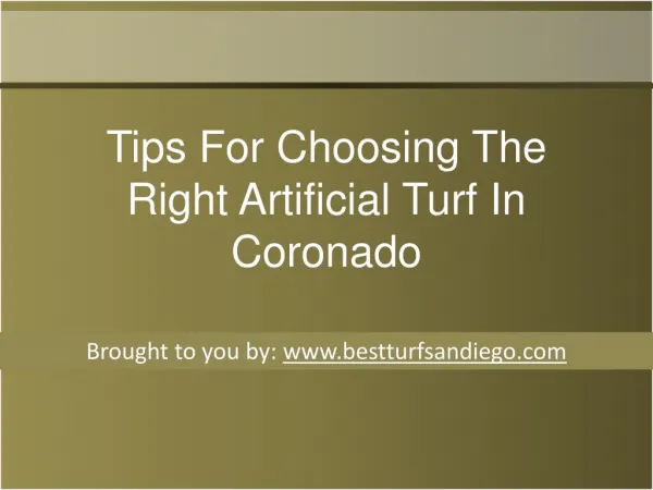 Tips For Choosing The Right Artificial Turf In Coronado