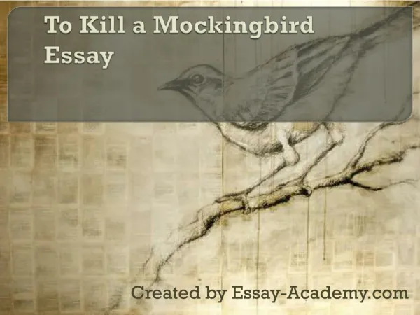 To Kill a Mockingbird Essay