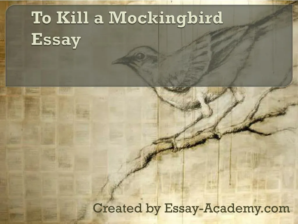 to kill a mockingbird essay
