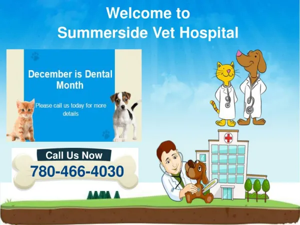 Dog/Cat Dental Cleanings & Oral Surgery in Edmonton