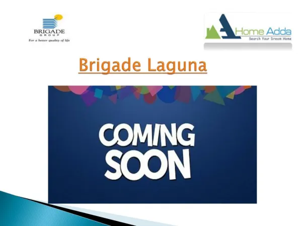 Brigade Laguna