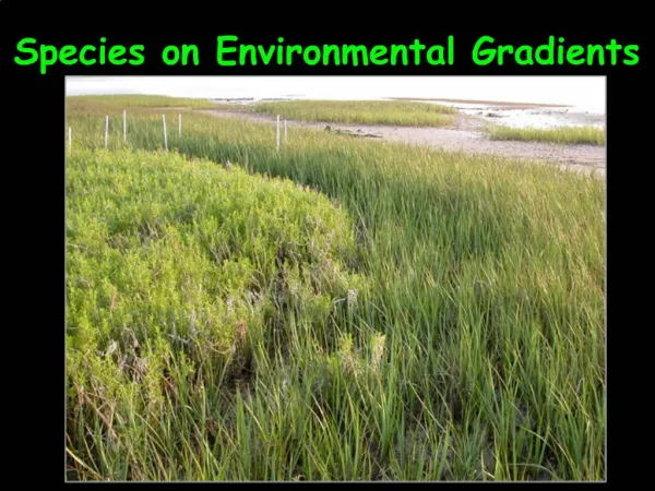 Species on Environmental Gradients