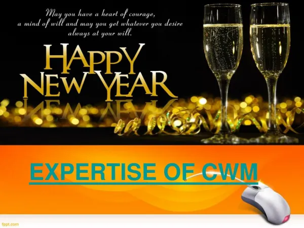 EXPERTISE OF CWM