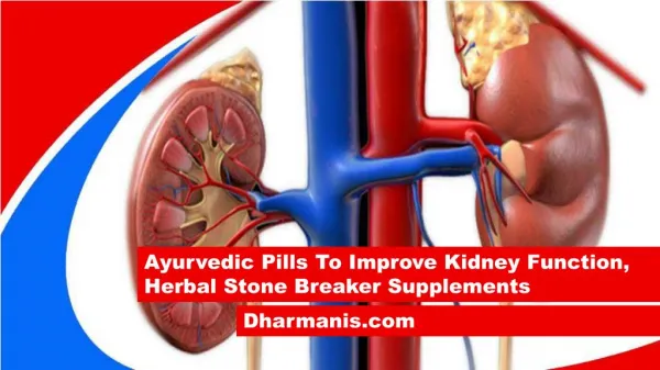 Ayurvedic Pills To Improve Kidney Function, Herbal Stone Breaker Supplements