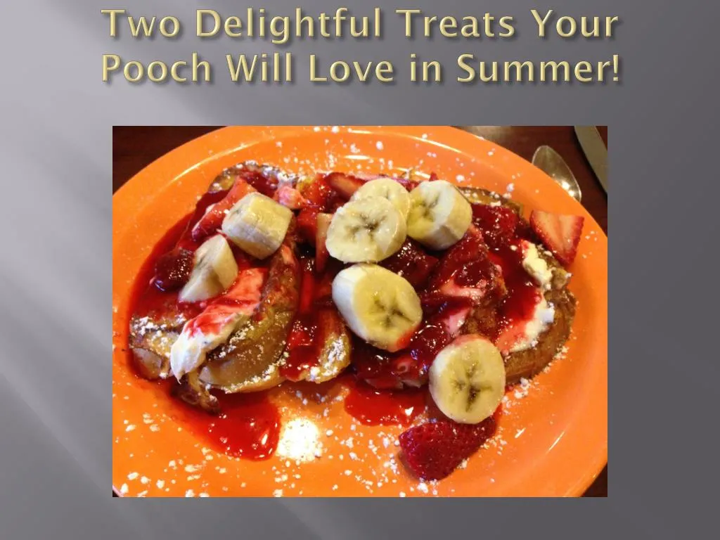 two delightful treats your pooch will love in summer
