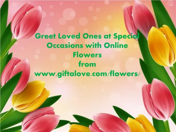 Greet Loved Ones at Special Occasions with Online Flowers from Giftalove.com!!