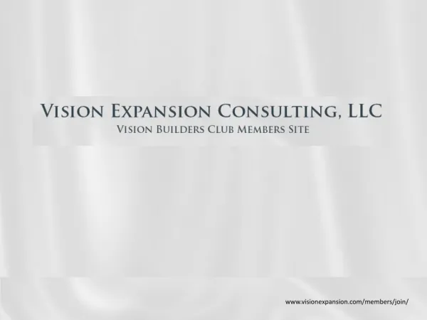 Vision expansion consulting , LLC