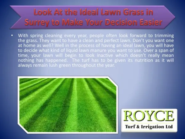 Look At the Ideal Lawn Grass in Surrey to Make Your Decision Easier