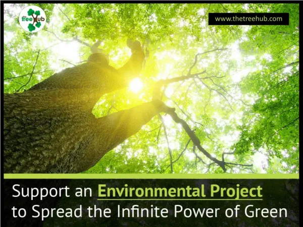 Support Sustainability Projects to Save Environment