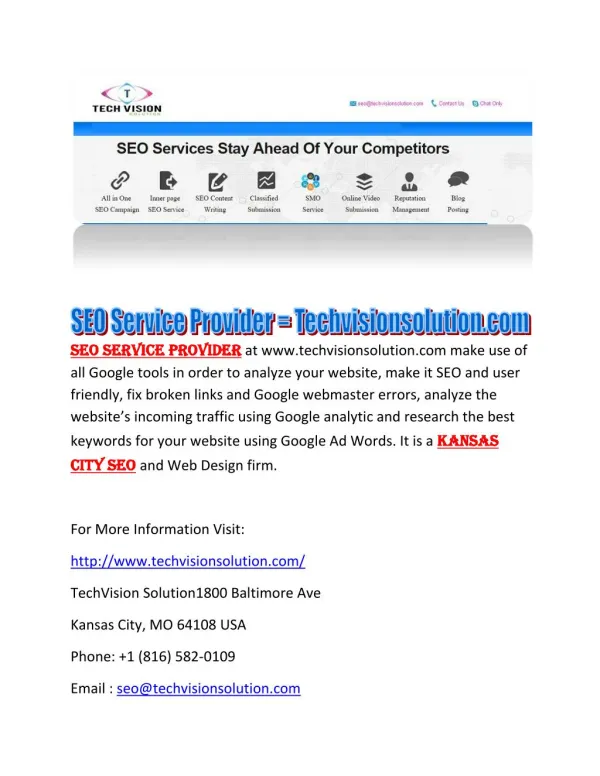 SEO Service Provider at techvisionsolution.com