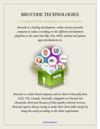 Wordpress Development Services - slide 1