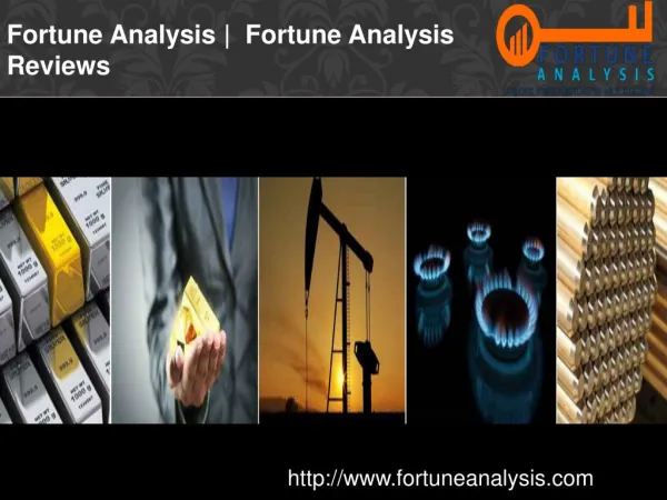Fortune Analysis | Fortune Analysis Reviews