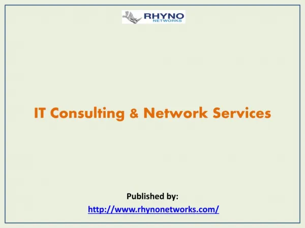 IT Consulting & Network Services