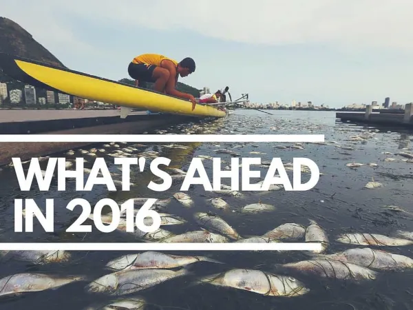 What to expect in 2016