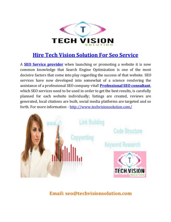 Hire Tech Vision Solution For Seo Service