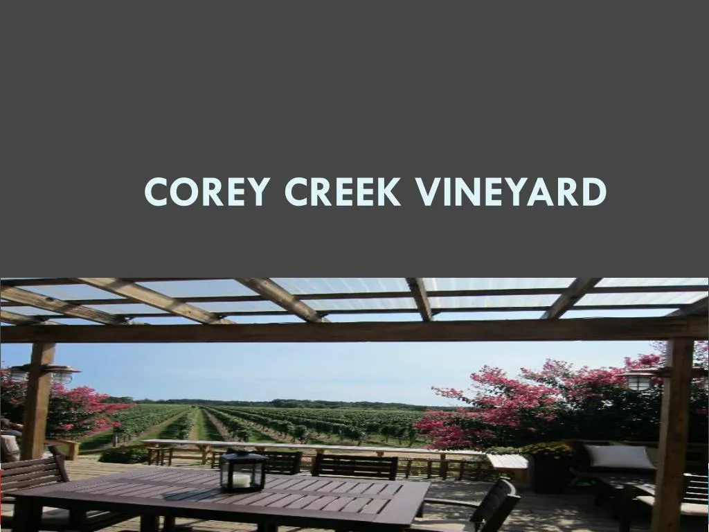 corey creek vineyard