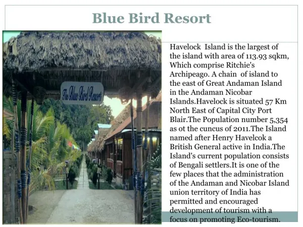Blue Bird Resort