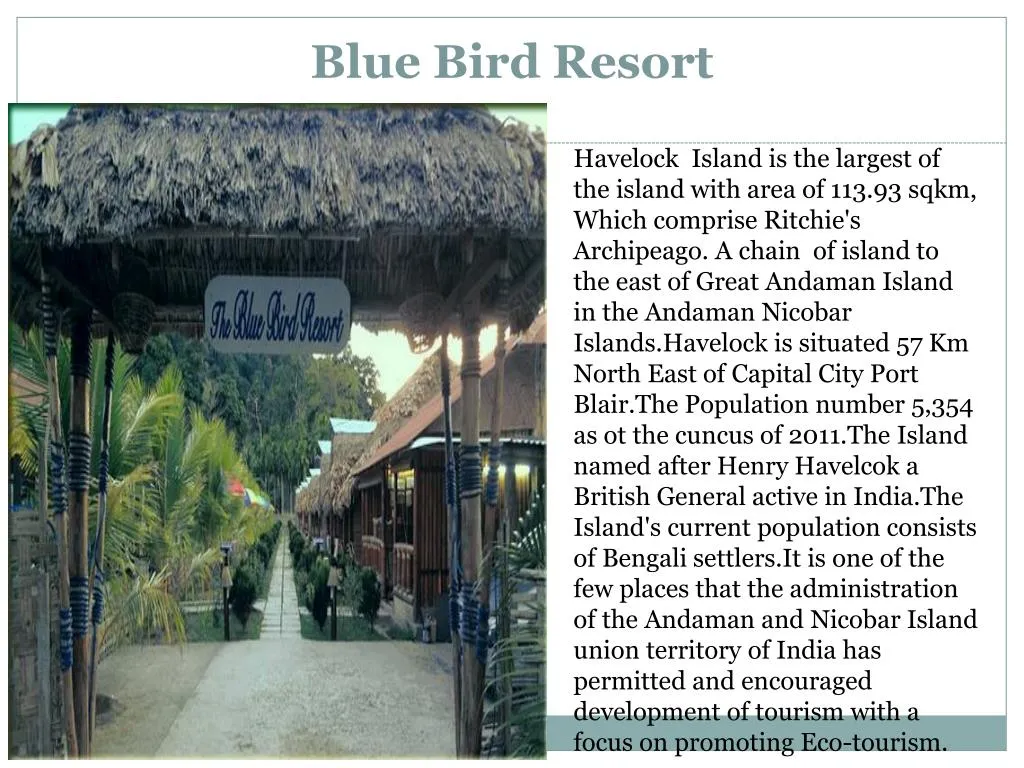 blue bird resort