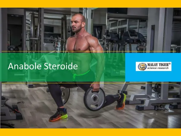 Anabole Steroide