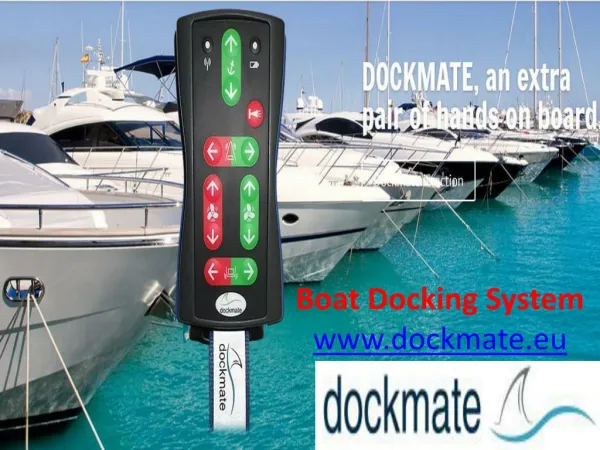 Electric Engine Control Dockmate system