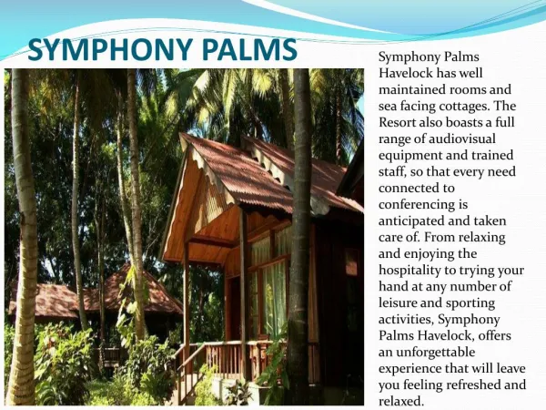 Symphony Palms Beach Resort