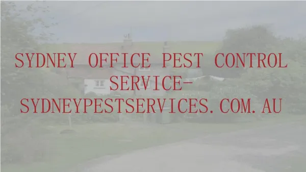 sydney office pest control service- sydneypestservices.com.au