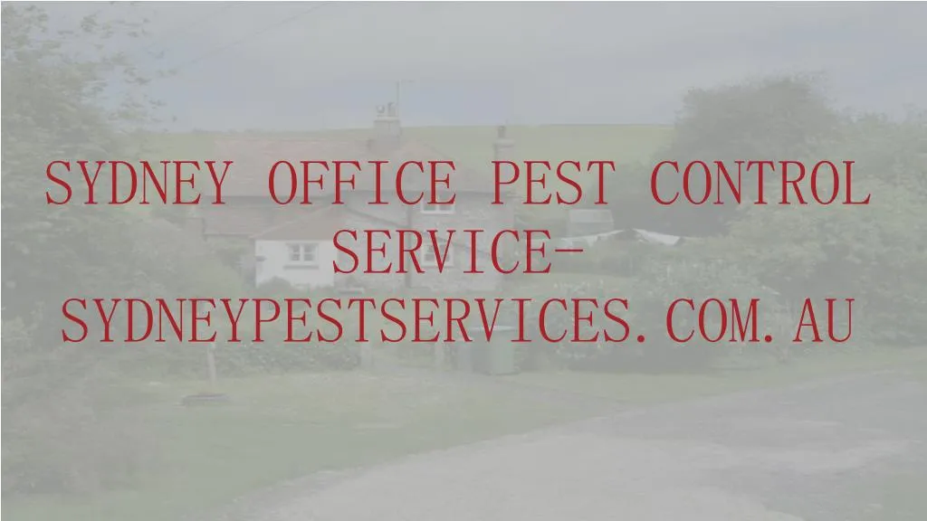 sydney office pest control service sydneypestservices com au